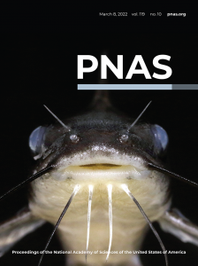 Journal issue cover using the new PNAS design, featuring a close-up of a catfish