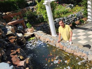 An overhead view of the koi pond, with big koi swimming in a shaded oblong pool. Rob stands at the edge with both hands on the stone wall.